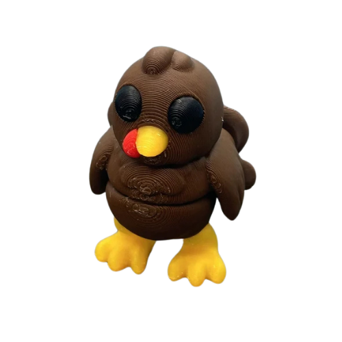 Pavo