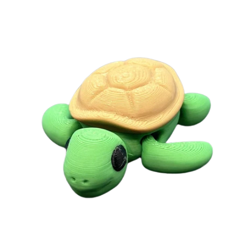Tortuga
